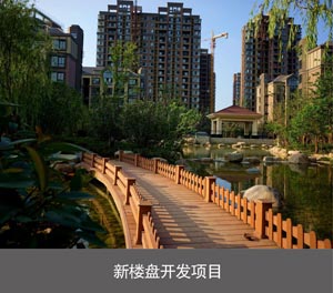 兩層簡易式機械式羞羞羞视频在线播放設備新樓盤開發項目